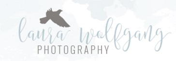 Laura Wolfgang Photography Laura Wolfgang Photography